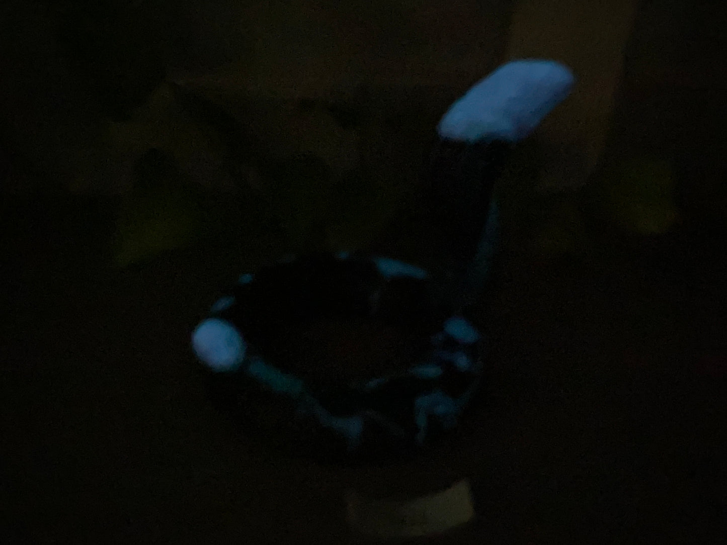 a close up of a toothbrush in the dark