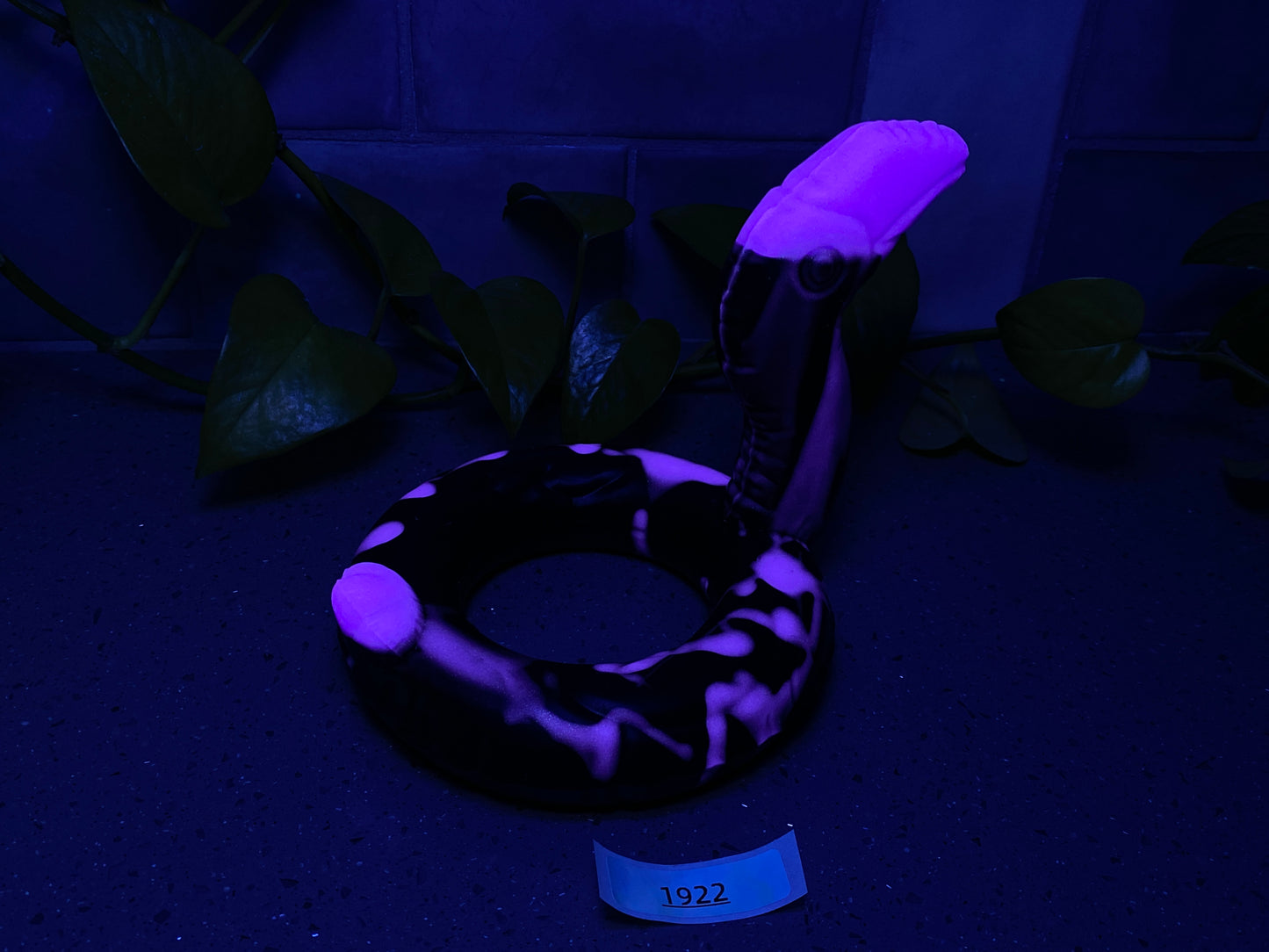 a purple and black snake skin object sitting on a table