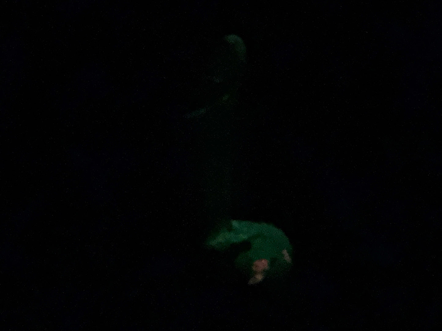 Flop - Su'lei - Navi Insertable - Medium - Soft - UV - GITD - 30044