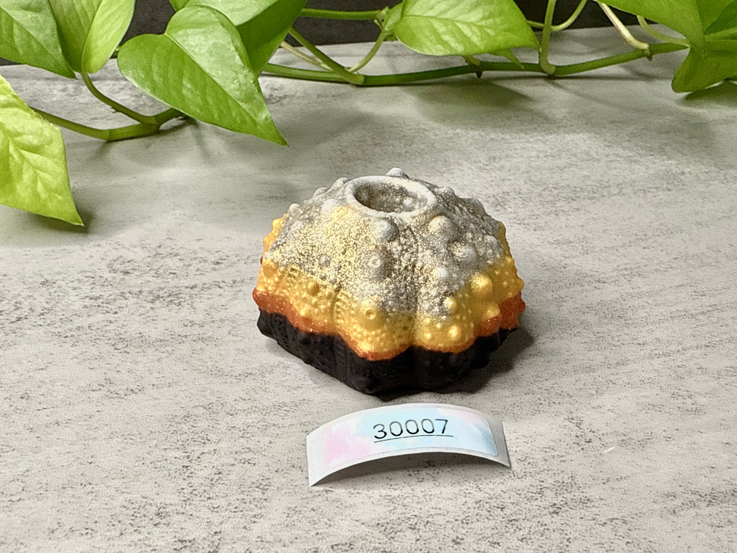 Echinus - Sucker - Mini Stroker - One Size - Soft - 30007