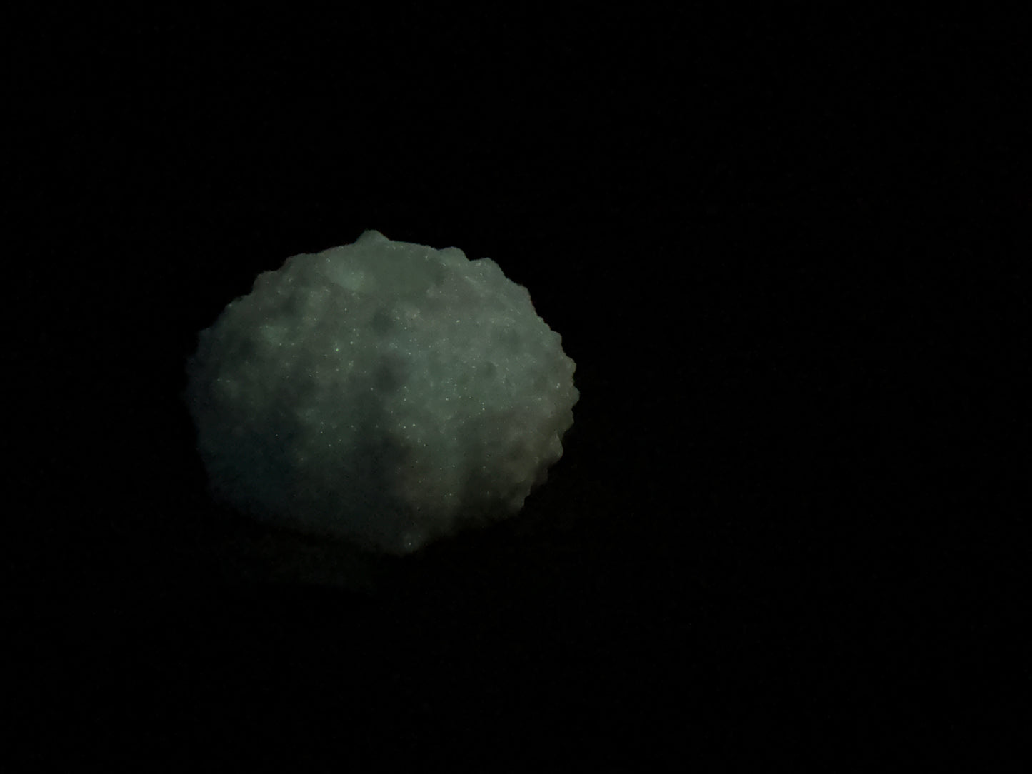 Echinus - Sucker - Mini Stroker - One Size - Soft - GITD - 30004