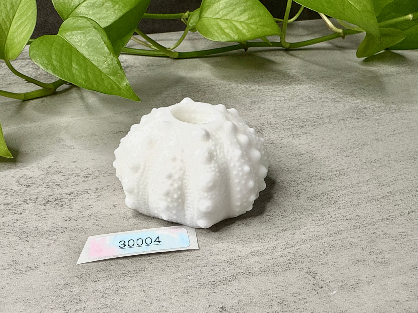 Echinus - Sucker - Mini Stroker - One Size - Soft - GITD - 30004