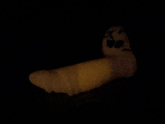 Flop - Su'lei - Navi Insertable - Small - Medium - GITD - 42035