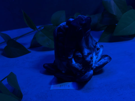 Quetzal - Penetrable Stroker - Large - Super Soft - UV - GITD - 31016