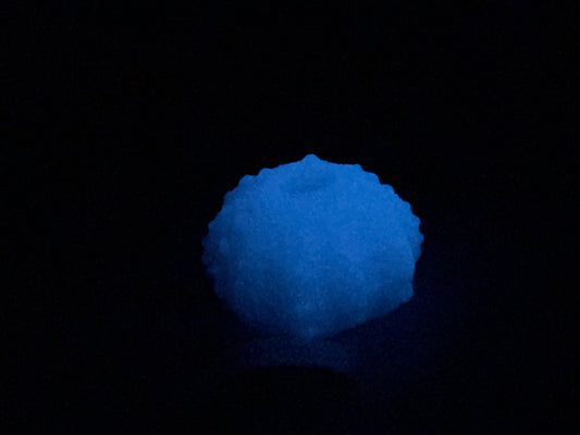 Echinus - Sucker - Mini Stroker - One Size - NC31 Soft - UV - GITD - 31012