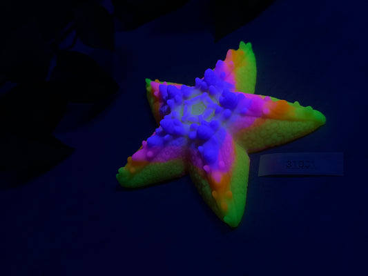 Astrid - Starfish Grinder - Large - Soft - UV - GITD - 31001