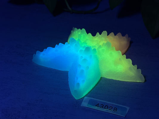 Astrid - Starfish Grinder Toy - Large - Super Soft - UV - GITD - 43028