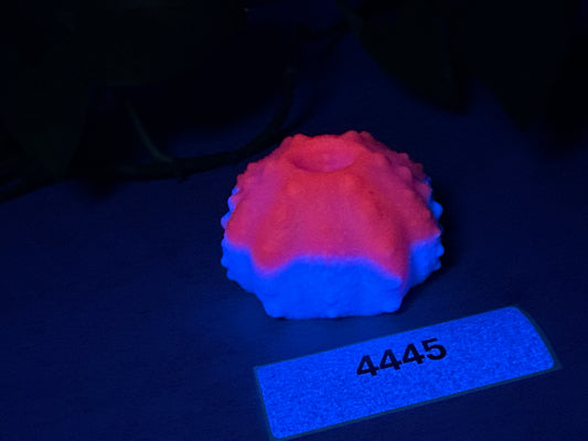 Echinus - Urchin Sucker Stroker - One Size - Soft - UV - GITD - 4445