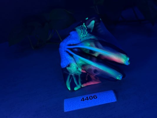 Riptide - Shark FTM Packer - Packer - Soft - UV - GITD - 4406