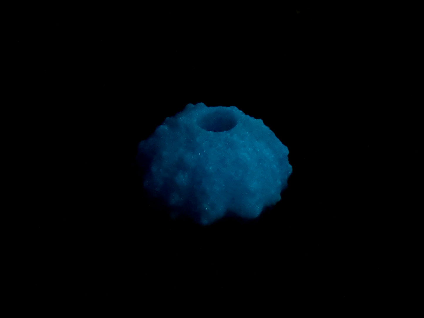 Echinus - Urchin Sucker - One Size - Super Soft - UV - GITD - 33055