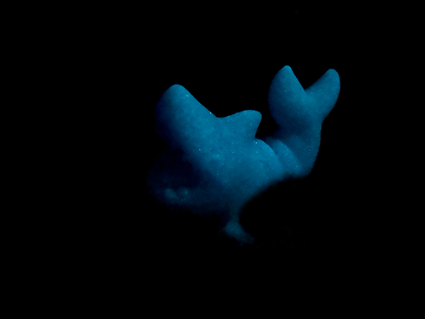 Quint - Shark - Vibe Sleeve - Super Soft - UV - GITD - 33046