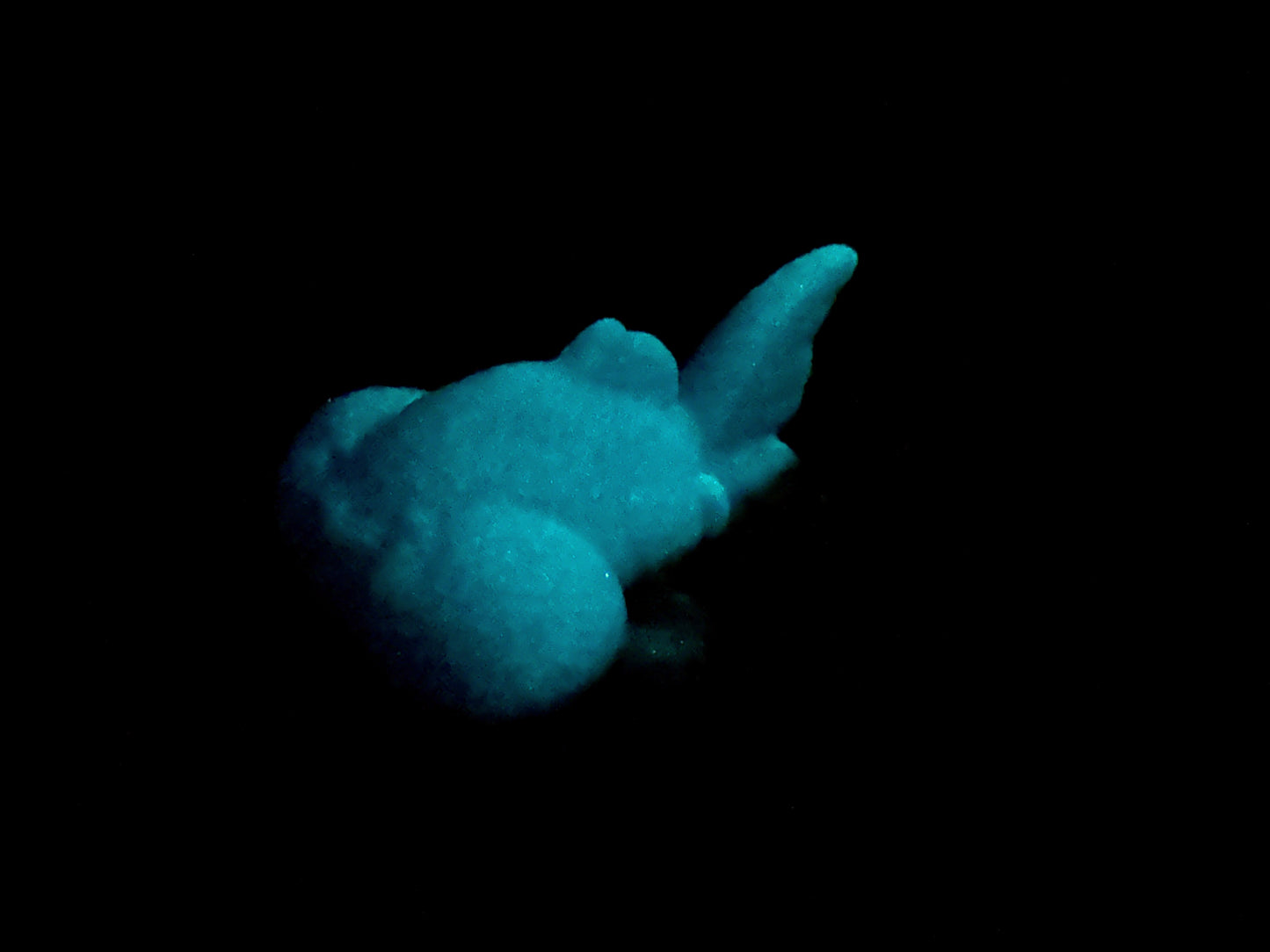 Pudge - Goldfish Squishy - Medium - Super Soft - UV - GITD - 33029