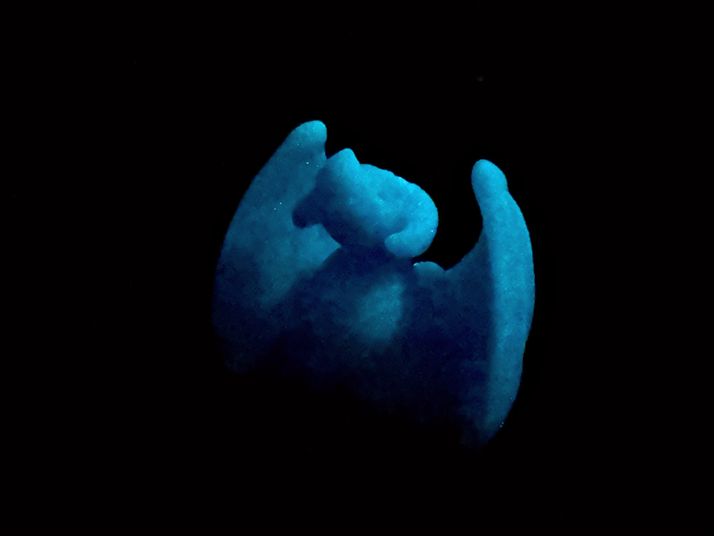 Tektonik - Dragon Squishy - Medium - Super Soft - UV - GITD - 33012