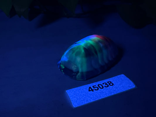 Rollie - Isopod Squishy - Medium - Soft - UV - GITD - 45038