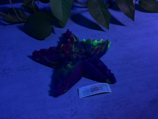 Astrid - Starfish Grinder - Large - Super Soft - UV - 33005