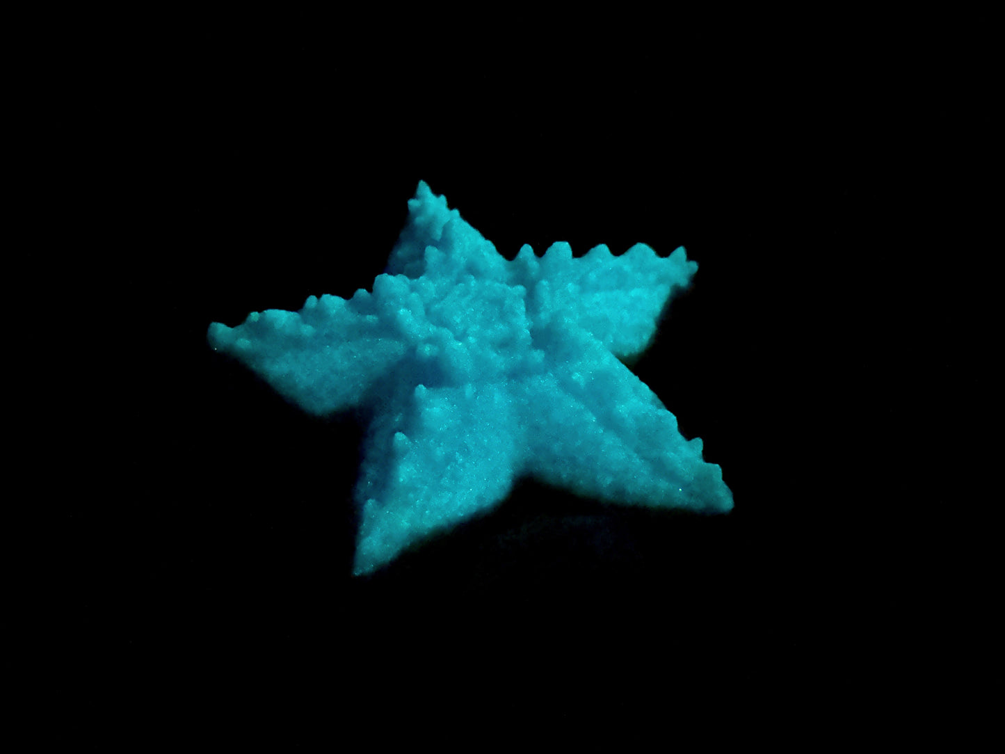 Astrid - Starfish Grinder - Large - Super Soft - UV - GITD - 33004
