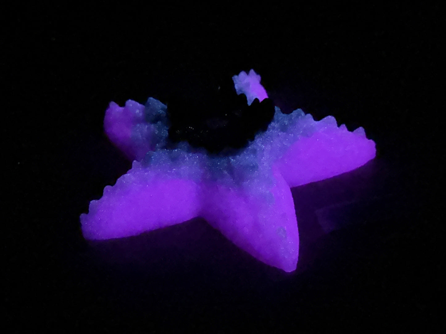 Astrid - Starfish Grinder - Large - Soft - UV - GITD - 34000