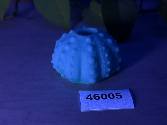 Echinus - Urchin Sucker Stroker - One Size - Soft - UV - GITD - 46005