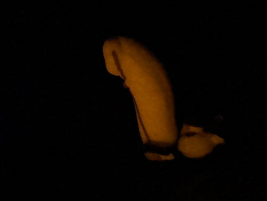 Tancho - Fish Insertable - Medium - Medium - GITD - 36033