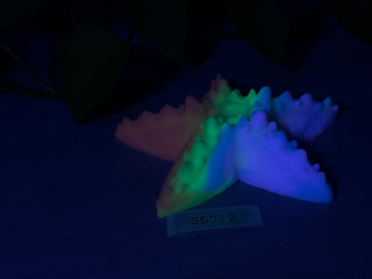 Astrid - Starfish Grinder - Large - Super Soft - 36012