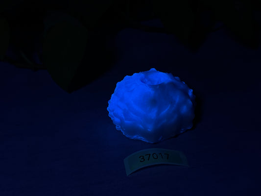 Echinus - Urchin Sucker/Mini Pen - One Size - Soft - 37017