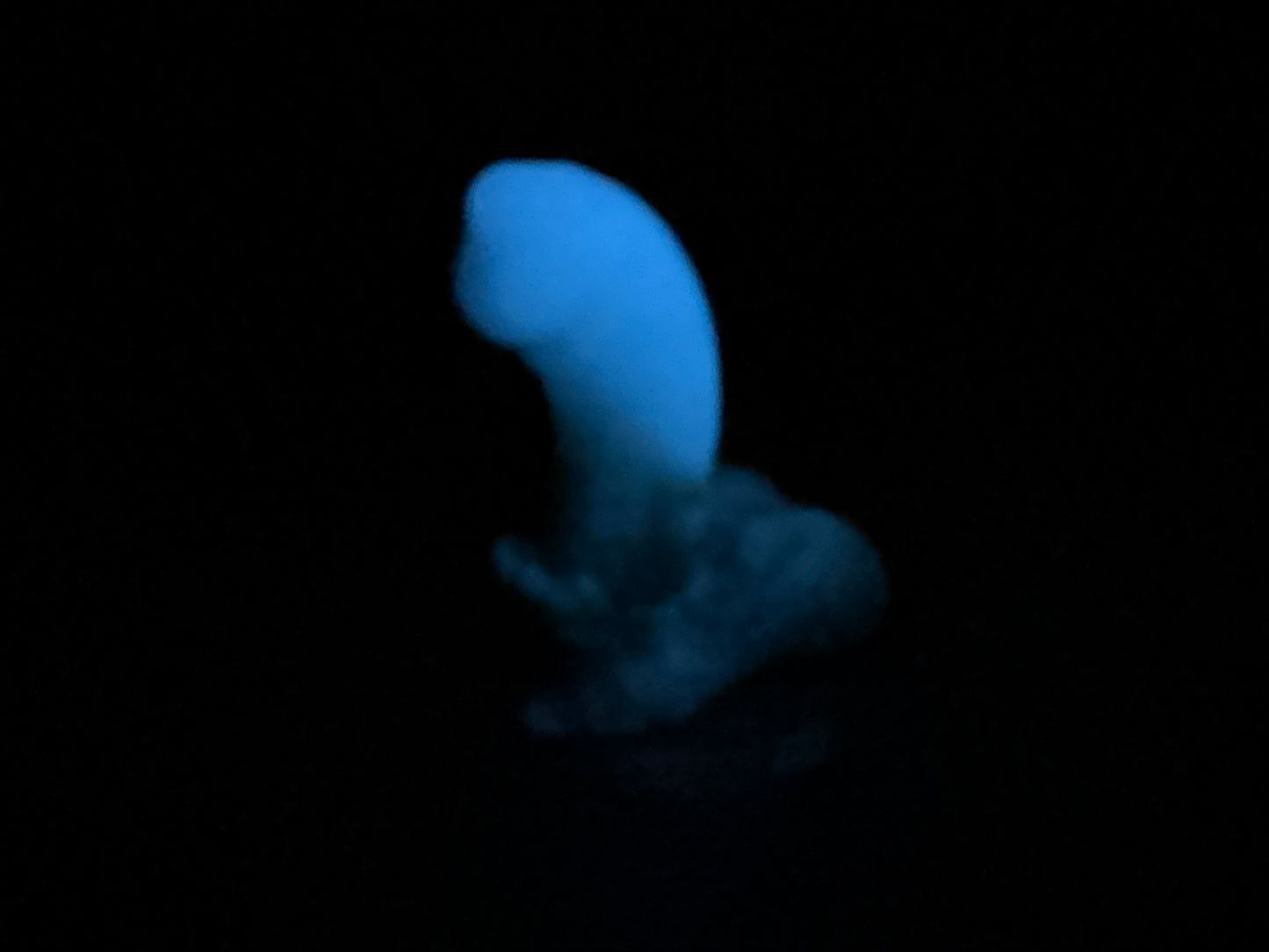 Pip - Insertable - Small - Medium - UV - GITD - 28006