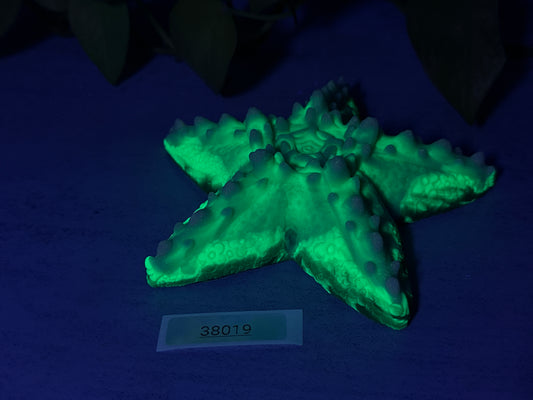 Astrid - Starfish Stim Grinder - Large - Soft - UV - GITD - 38018