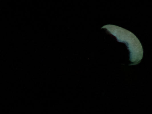 Ambrosia - Vampire Insertable Toy - Medium - Medium - UV - 39026