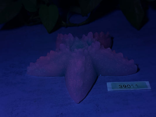 Astrid - Starfish Grinder - Large - NC45 Medium - GITD - 39011