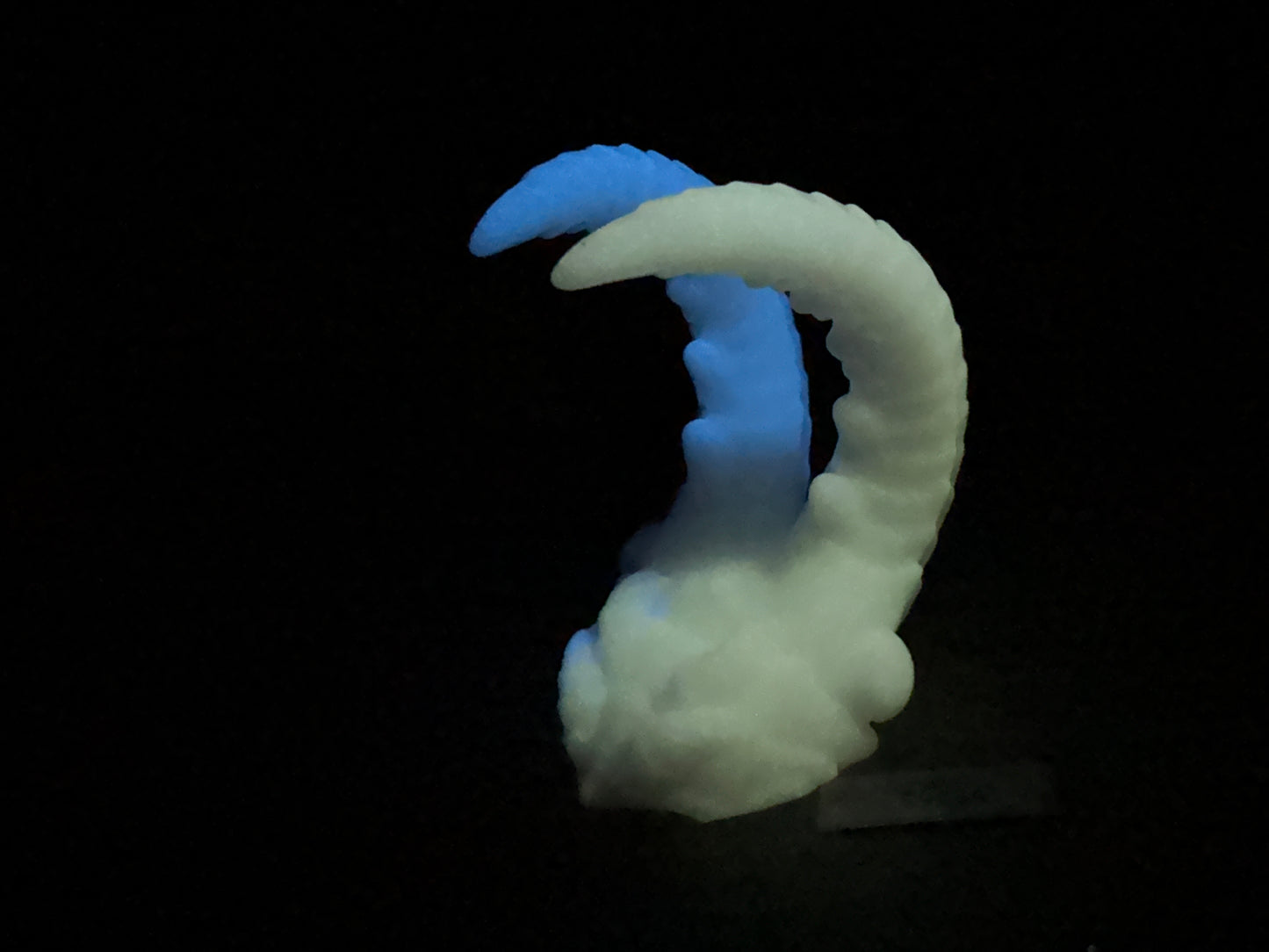 Kariss - Shrimp Insertable - Small - Soft - UV - GITD - 29034