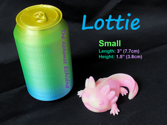 Lottie - Axolotl Squishy - Small - Medium - UV - GITD - 36005
