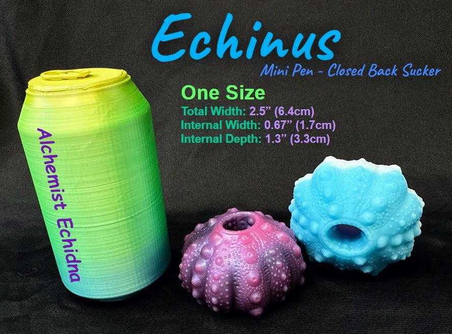 Echinus – AE