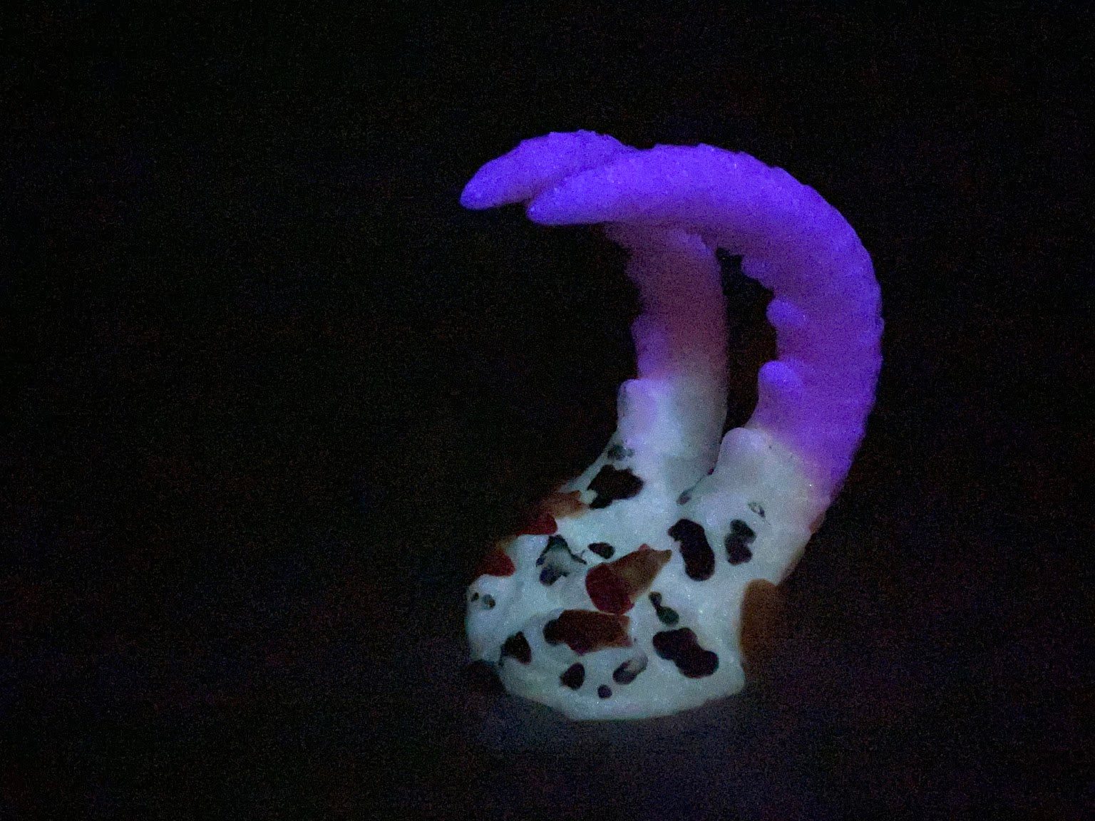 a close up of a purple and white object in the dark