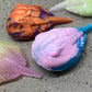 a group of three different colored seashells on a cement surface