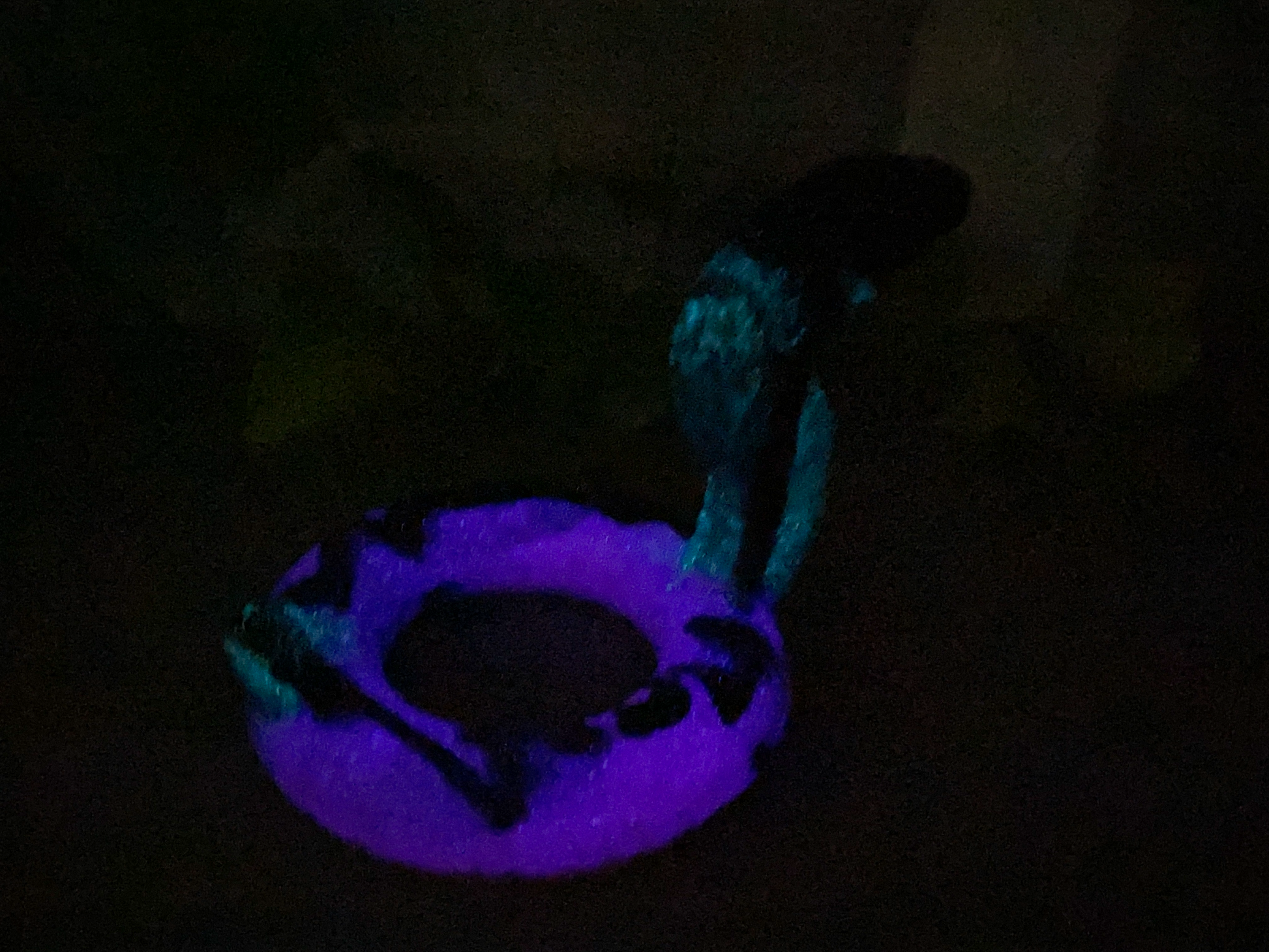 a purple and black object in the dark