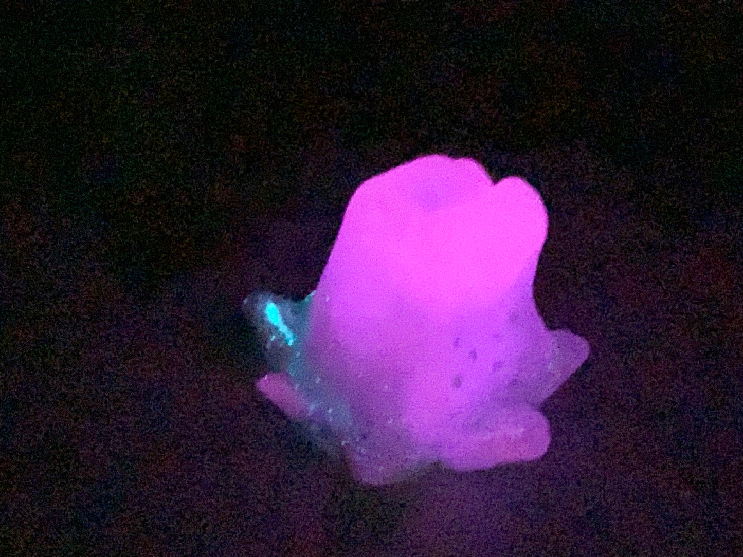 a purple flower that is glowing in the dark