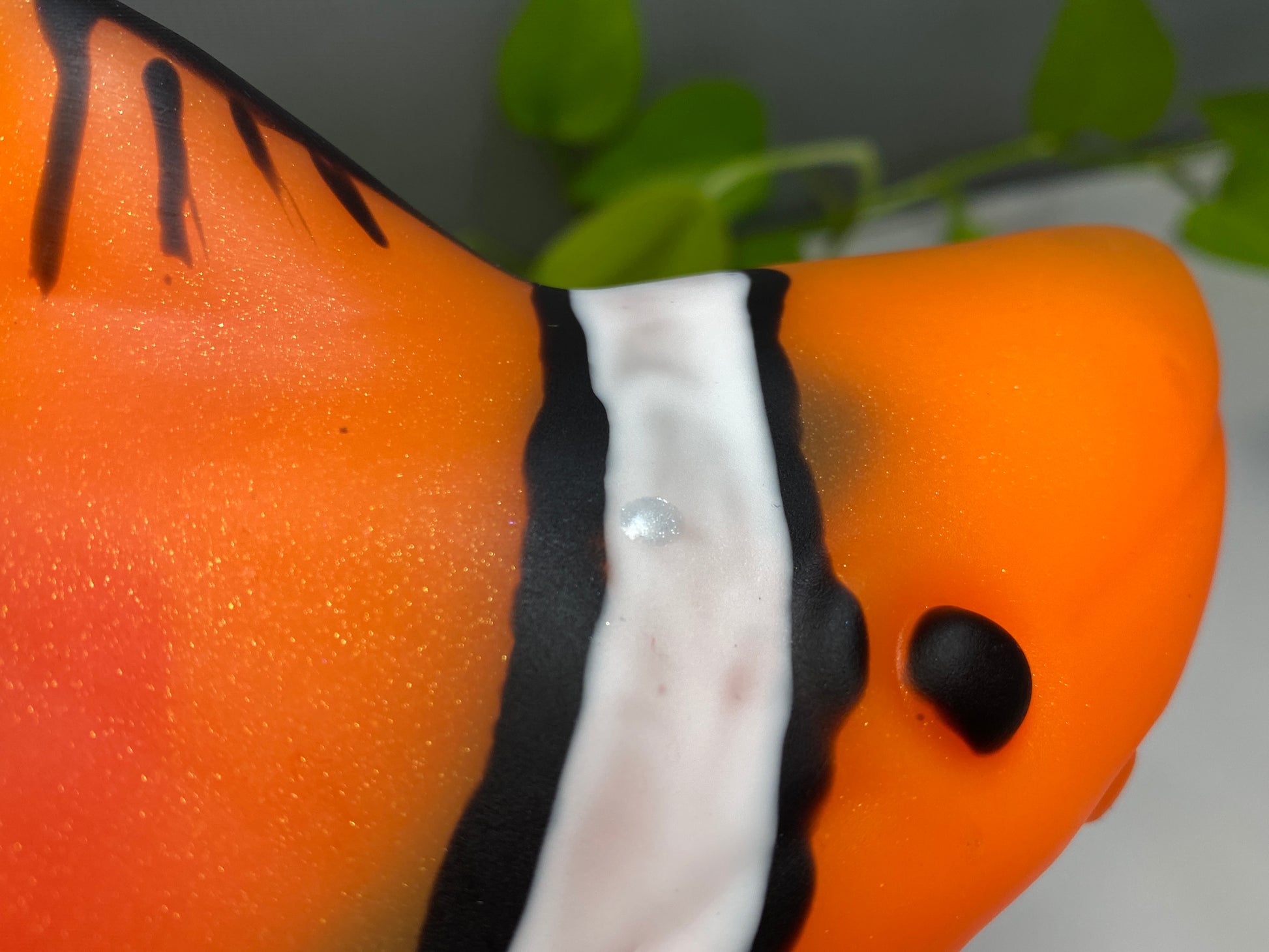 a close up of an orange and black clown fish