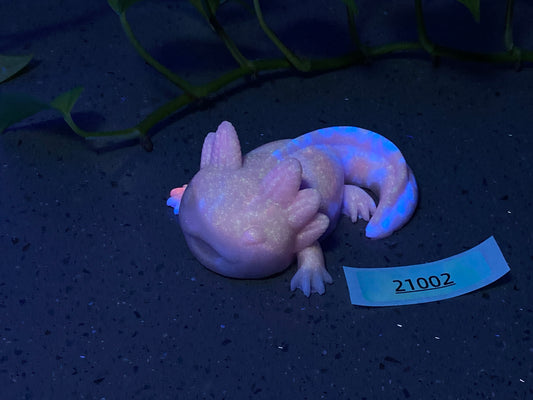 a gecko laying on the ground next to a plant