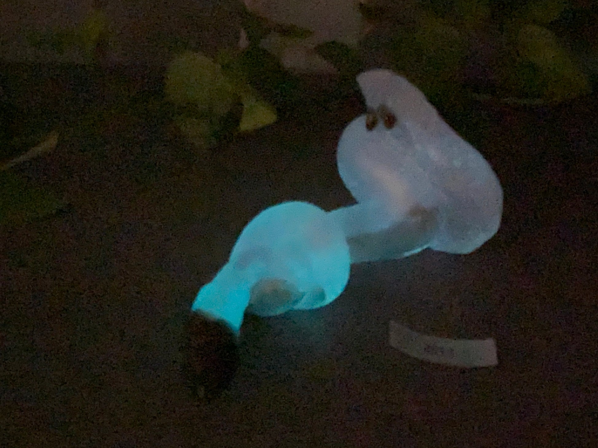 a white object is glowing in the dark