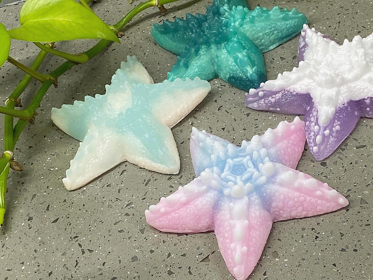 a group of starfish shaped soaps sitting next to a plant