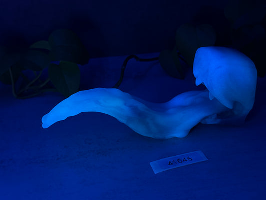 Oola's Tongue - Insertable Maw Dildo - Small - Soft - UV - GITD - 41046