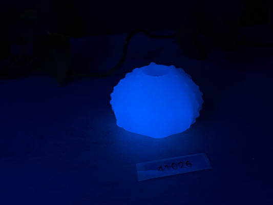 Echinus - Urchin Sucker - Mini Penetrable - Soft - UV - GITD - 41026