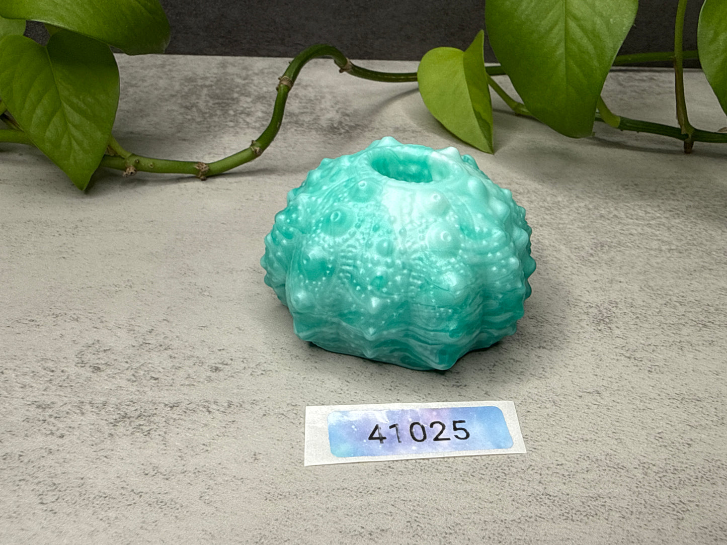 Echinus - Urchin Sucker - Mini Penetrable - Medium - 41025