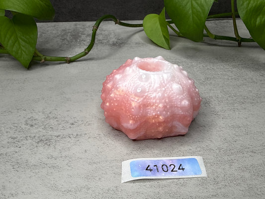 Echinus - Urchin Sucker - Mini Penetrable - Super Soft - 41024