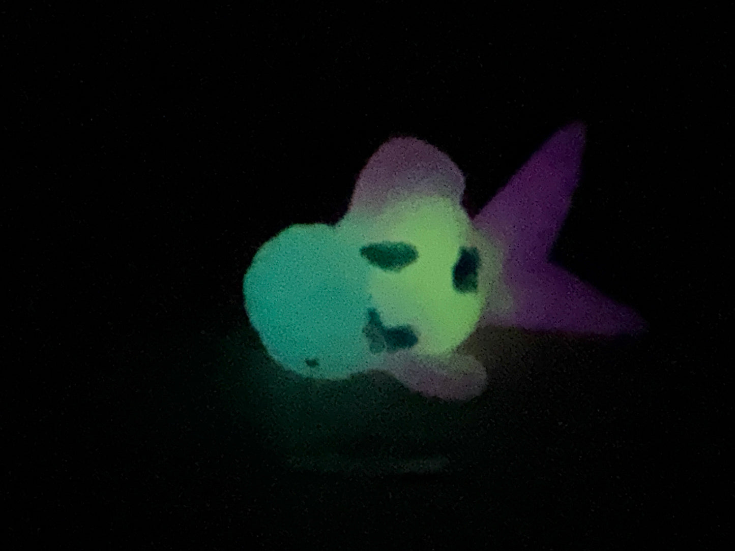 Cheddar - Goldfish Squishy - Medium - Super Soft - UV - GITD - 41018