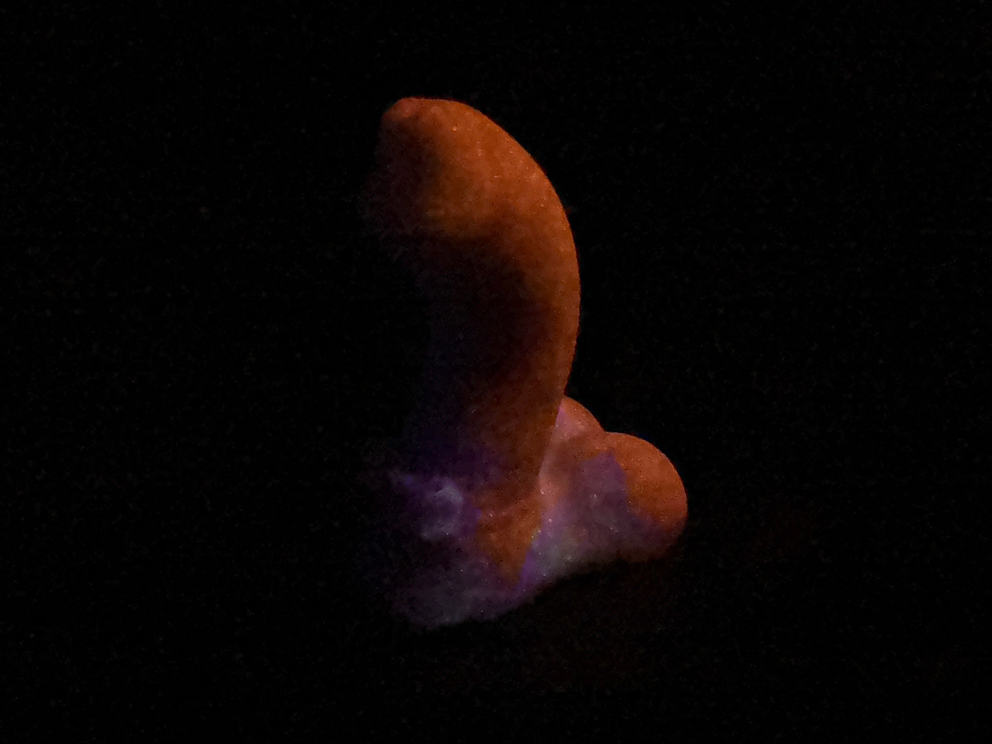 Pip - Insertable - Small - Medium - UV - GITD - 30054