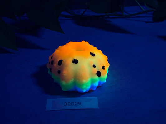 Echinus - Sucker - Mini Stroker - One Size - Soft - UV - GITD - 30009