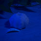Echinus - Sucker - Mini Stroker - One Size - Soft - GITD - 30004