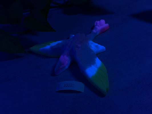 Teylu - Banshee Dragon Grinder - One Size - Medium - UV - GITD - 30001