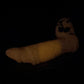 Flop - Su'lei - Navi Insertable - Small - Medium - GITD - 42035